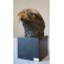 Erelio galvos bronzinės statula 